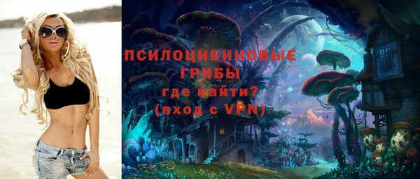 ALPHA PVP Арсеньев